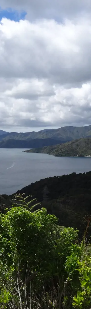 Marlborough Sounds
